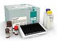 EndoLISA® test kit